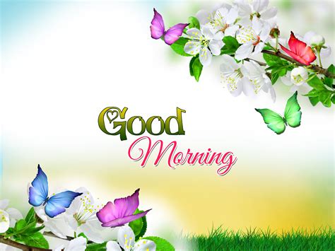 good morning wallpaper|very good morning images.